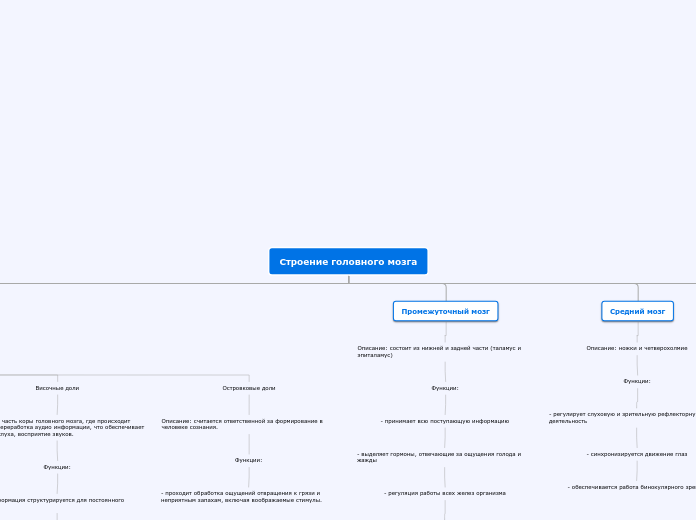 Строение головного мозга - Мыслительная карта