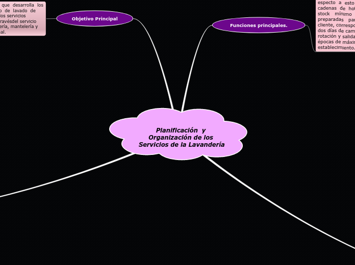 Planificación  y Organización de los Servicios de la Lavandería