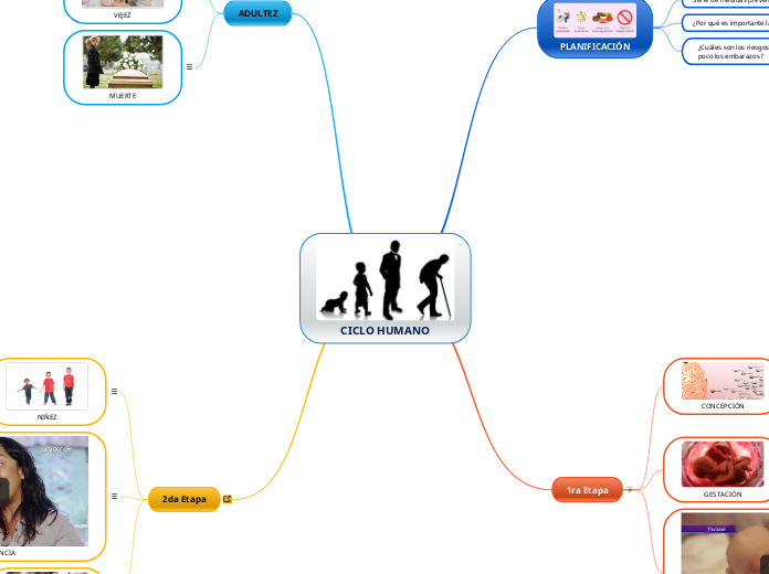 CICLO HUMANO