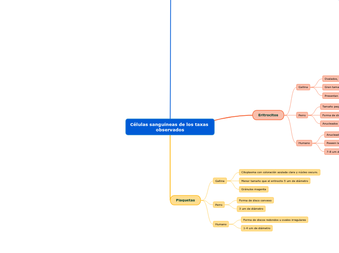 Células sanguíneas de los taxas observados