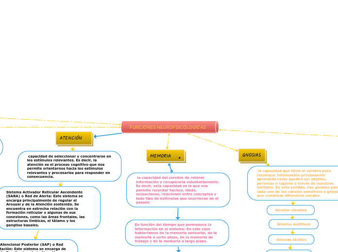 FUNCIONES NEUROPSICOLOGICAS 