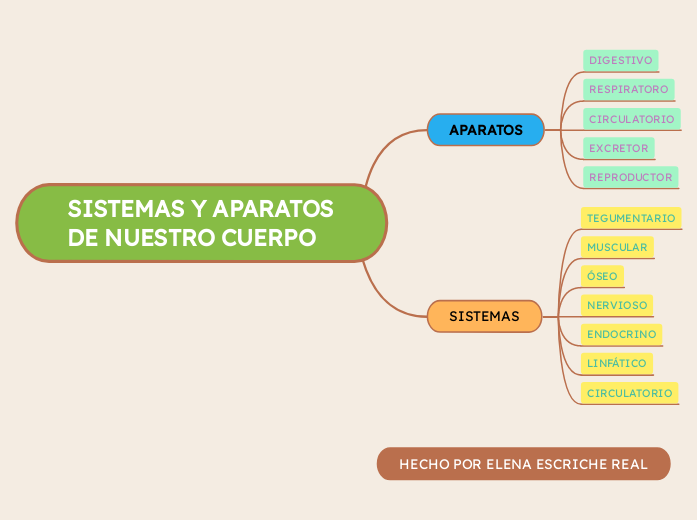 SISTEMAS Y APARATOS DE NUESTRO CUERPO - Mapa Mental