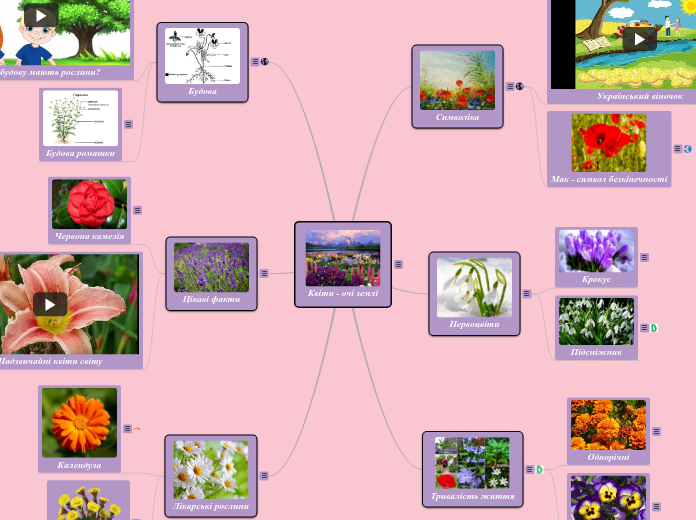 Квіти - очі землі - Мыслительная карта