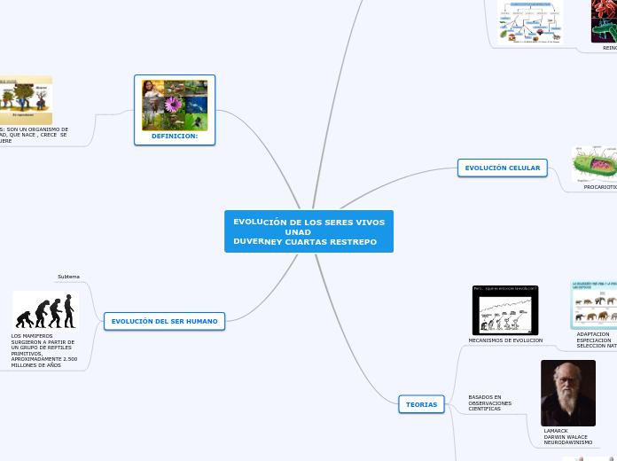 EVOLUCIÓN DE LOS SERES VIVOS
          ...- Mapa Mental