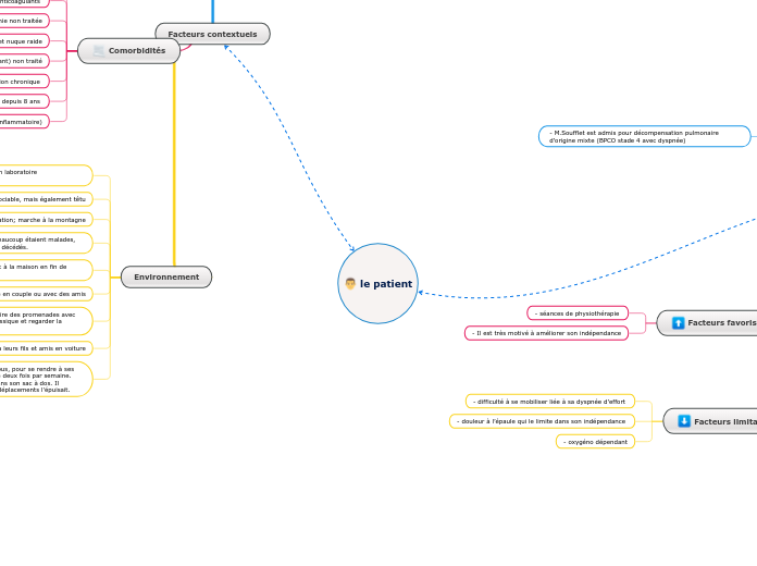 le patient - Carte Mentale