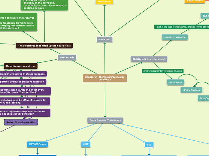 Chapter 3 - Biological Psychology LECTURE 3