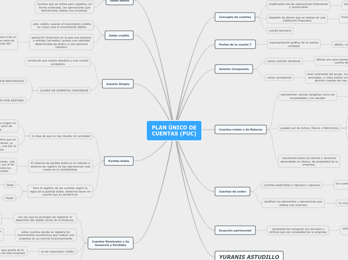 PLAN ÚNICO DE CUENTAS (PUC)