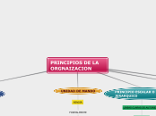 PRINCIPIOS DE LA ORGNAIZACION - Mapa Mental