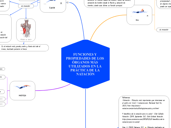 FUNCIONES Y PROPIEDADES DE LOS ÓRGANOS MÁS UTILIZADOS EN LA PRÁCTICA DE LA NATACIÓN