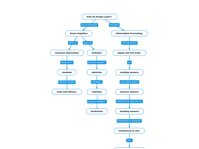 How do People Learn? 