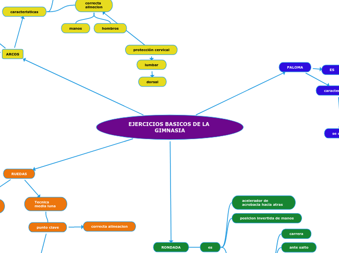 EJERCICIOS BASICOS DE LA GIMNASIA