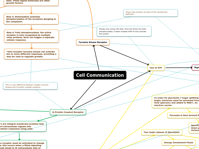 Cell Communication