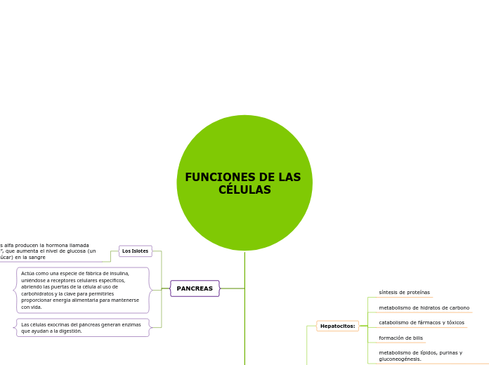 FUNCIONES DE LAS CÉLULAS