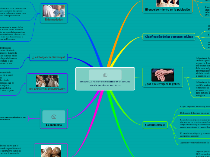 DESARROLLO FÍSICO Y COGNOSCITIVO EN LA ADULTEZ TARDÍA   ( 65 AÑOS EN ADELANTE)