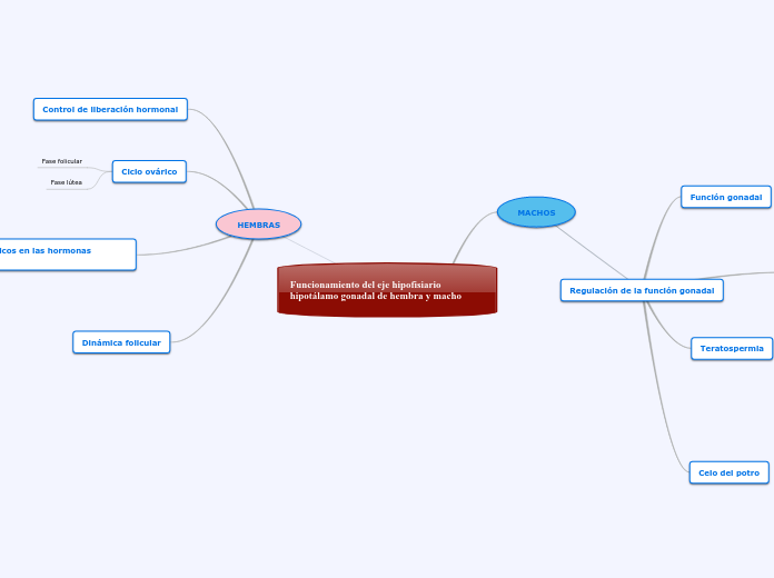 Funcionamiento del eje hipofisiario hip...- Mapa Mental