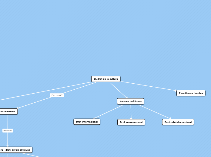EL dret de la cultura - Mapa Mental