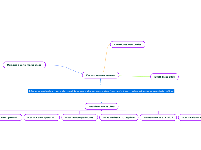 Como aprende el cerebro 