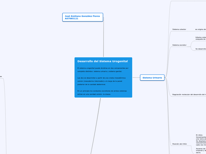 Desarrollo del Sistema Urogenital

El s...- Mapa Mental