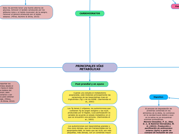 PRINCIPALES VÍAS METABÓLICAS
