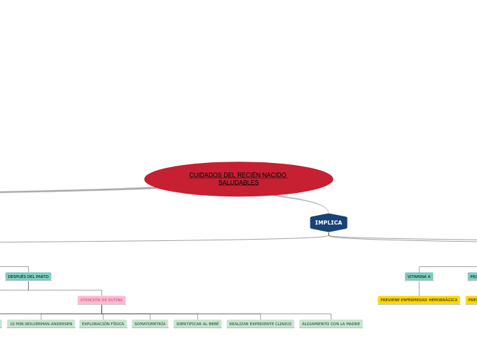 CUIDADOS DEL RECIÉN NACIDO SALUDABLES