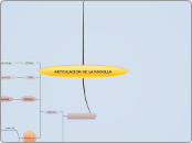 ARTCULACION DE LA RODOLLA - Mapa Mental