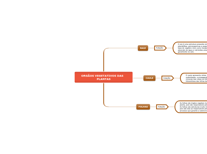 ORGÃOS VEGETATIVOS DAS   PLANTAS