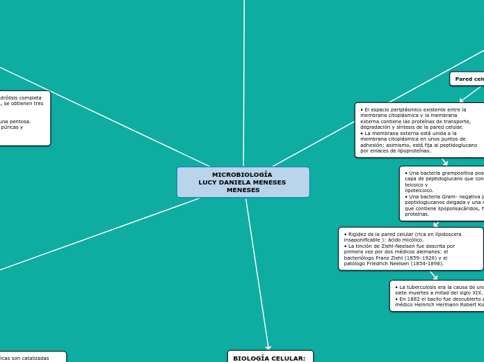 MICROBIOLOGÍA LUCY DANIELA MENESES MENESES