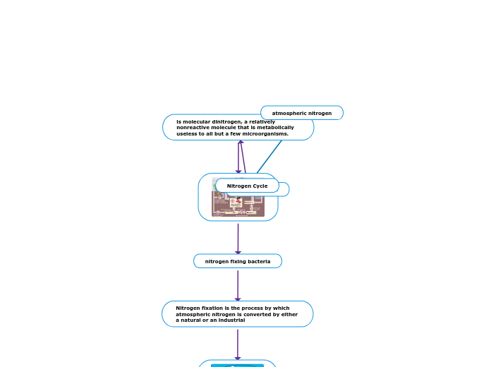 Nitrogen Cycle - Mind Map