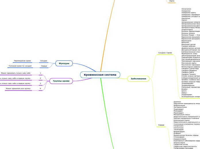 Кровеносная система - Мыслительная карта