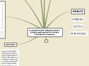 cuentas de activo y clasificación de la...- Mapa Mental