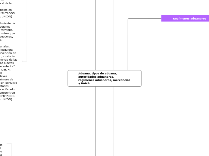 Aduana, tipos de aduana, autoridades aduaneras, regímenes aduaneros, mercancías y PAMA.