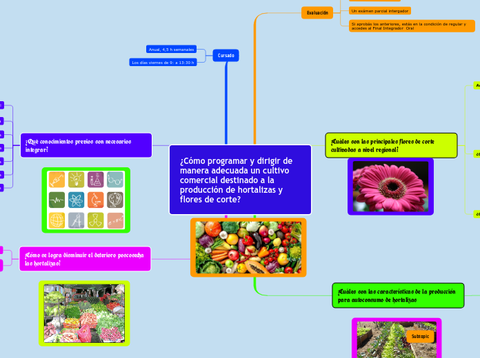 ¿Cómo programar y dirigir de manera adecuada un cultivo comercial destinado a la producción de hortalizas y flores de corte?