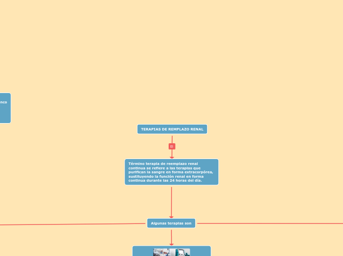 TERAPIAS DE REMPLAZO RENAL