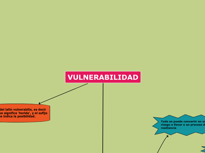 VULNERABILIDAD