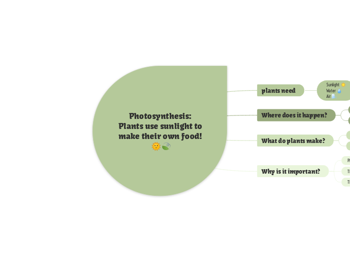 Photosynthesis: Plants use sunlight to make their own food! 🌞🍃