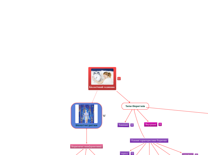 Біологічний годинник - Мыслительная карта