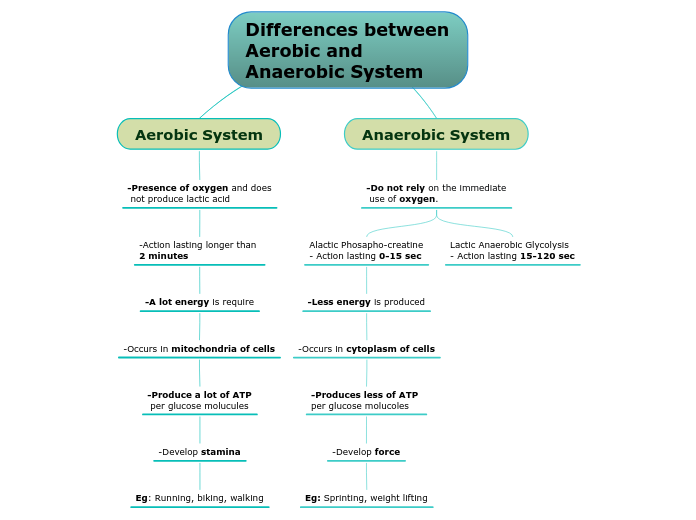 Differences between Aerobic and Anaerobic System