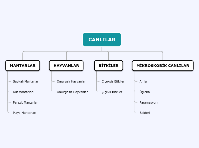 CANLILAR - Mind Map