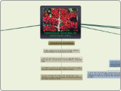 FEDERACION NACIONAL DE CAFETEROS (FNC) - Mapa Mental