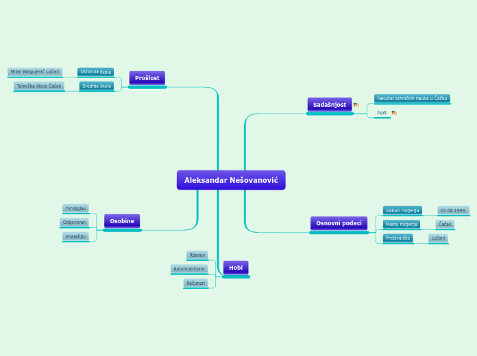 Aleksandar Nešovanović - Mind Map