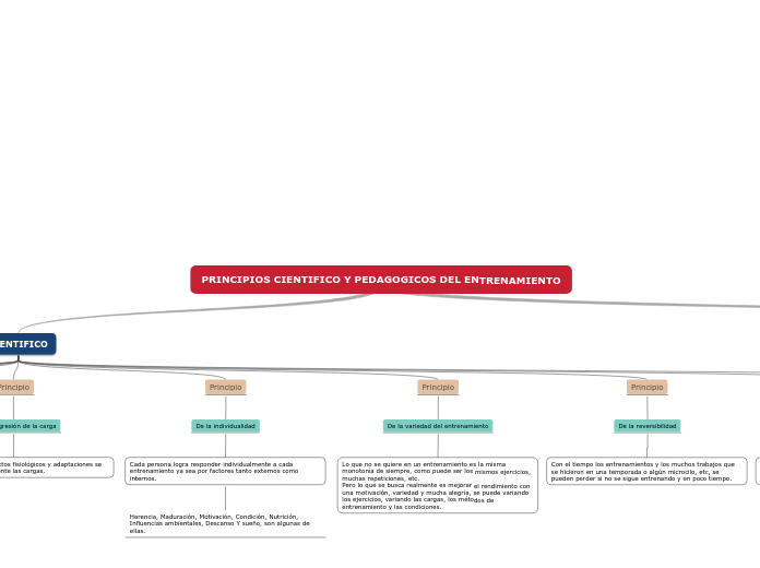 PRINCIPIOS CIENTIFICO Y PEDAGOGICOS DEL ENTRENAMIENTO