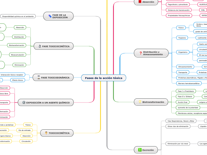 Fases de la acción tóxica