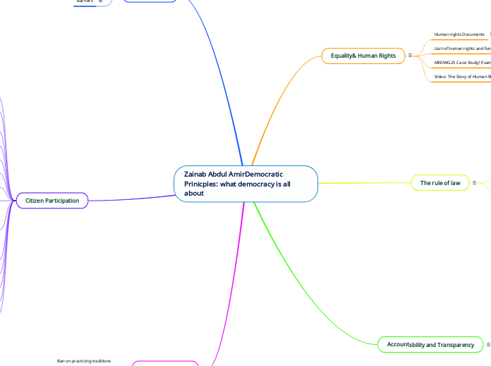 Zainab Abdul AmirDemocratic Prinicples: what democracy is all about