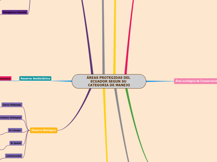 ÁREAS PROTEGIDAS DEL ECUADOR SEGUN SU C...- Mapa Mental