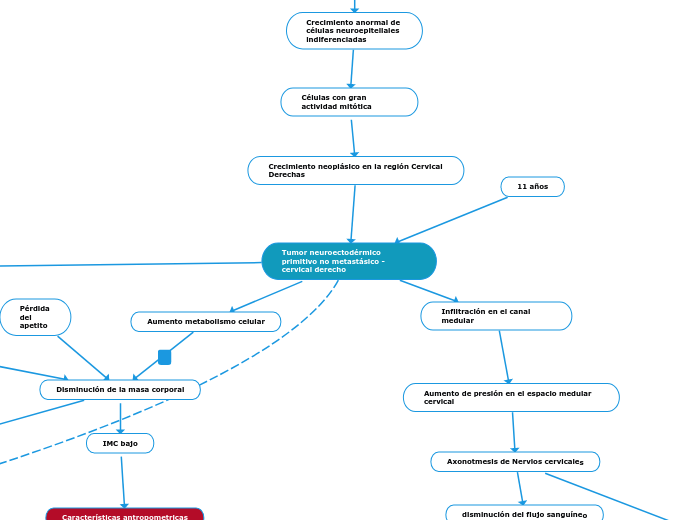 Tumor neuroectodérmico primitivo no met...- Mapa Mental