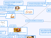 macro molecules