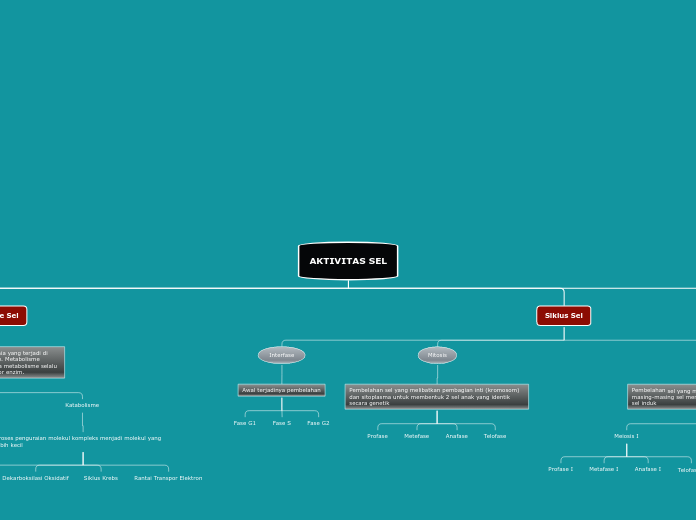 AKTIVITAS SEL - Mind Map