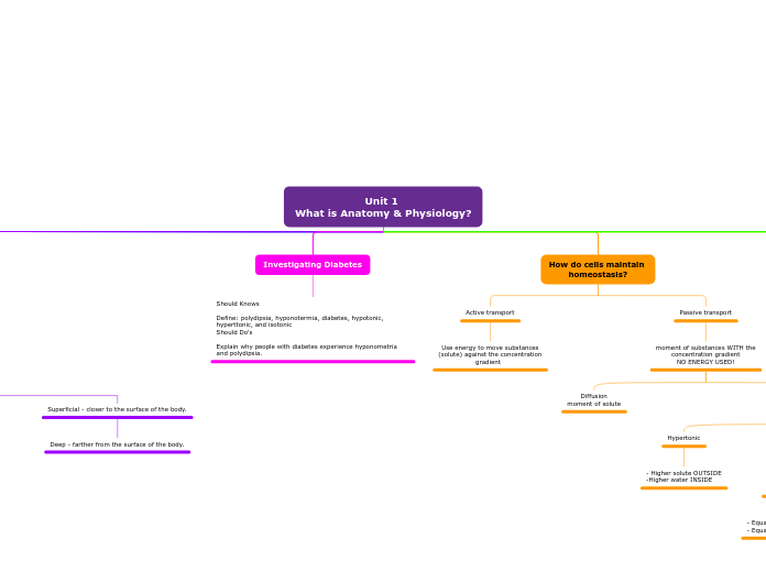 1 What is Anatomy & Physiology? 2023a