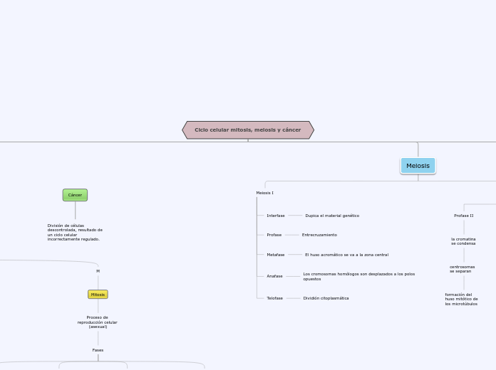 Ciclo celular mitosis, meiosis y cáncer