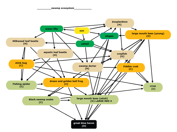 _________swamp ecosystem___________